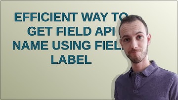 Salesforce: Efficient way to get field API name using field label