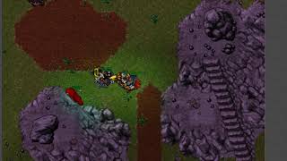 Tibia Macabra 258 Matando mais alguns
