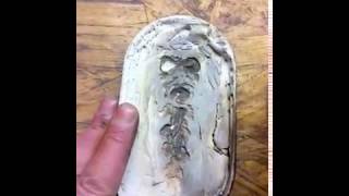 Plaster of Paris two part Mold for Lead Ornament