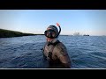 DIVING FOR LOBSTERS IN CAPE COD, MA (Maine Lobster)