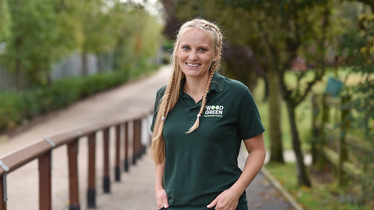 Meet Lizzie WeAreWoodgreen The Dog House Woodgreen Pets Charity