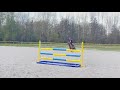 Poney à vendre - PONEY DE SPORT NIVEAU AS - Vidéo 5 - equirodi.com