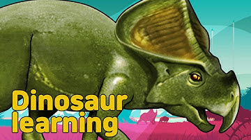 Dinosaur Protoceratops Collection | Herbivorous Dinosaur Protoceratops | Dinosaur Protoceratops