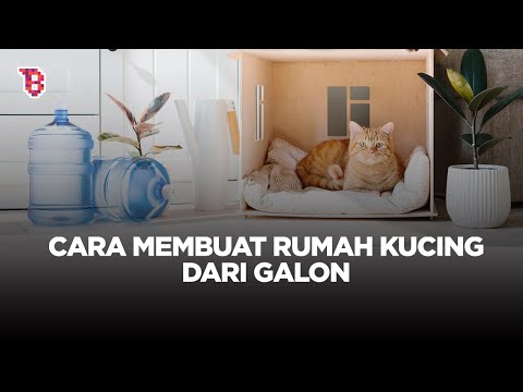 CARA MEMBUAT RUMAH KUCING DARI GALON, GAMPANG BANGET | LIFE HACKS