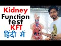 Kidney function test in hindi | Normal range and procedure explained