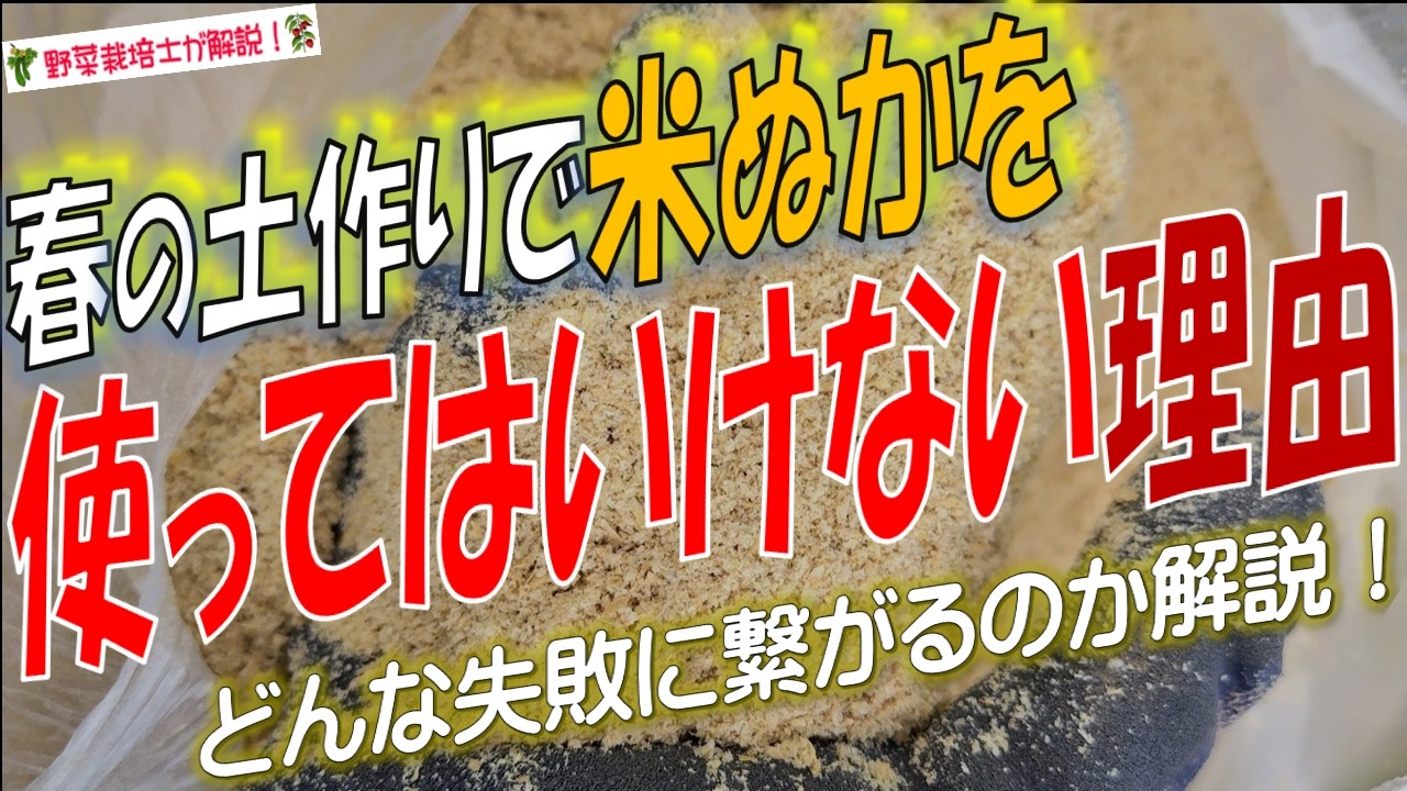 【要注意！】春の土作りで米ぬかを使ってはいけない理由
