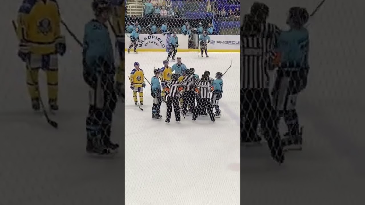 Ice hockey leeds knights vs Sheffield stelldogs 2021 31st December