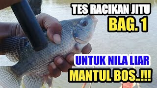 Cdanuran Jitu Lumut Untuk Mancing Nila Liarhasilnya Mantul Bag 1 Mancing Mania Jatigede
