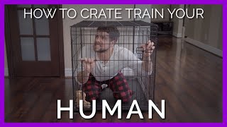 How To Crate Train Your Human