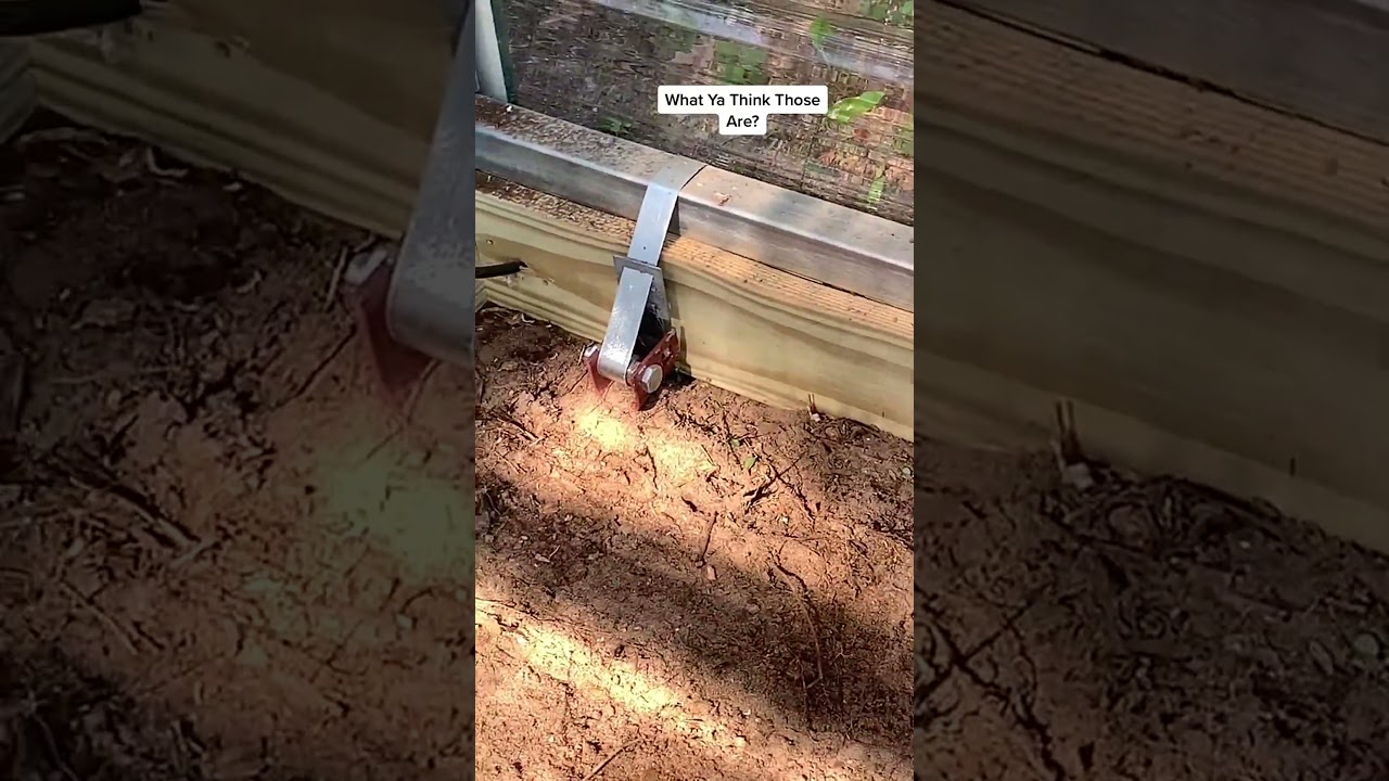 Secure Your Greenhouse with Hurricane Straps! 