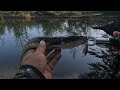 Casting Haruan Vs Rapala CD3 - ep159