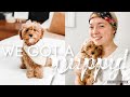 WE GOT A PUPPY! || Here's how it's REALLY going...