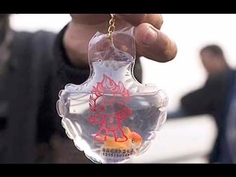 В Китае продают "живые сувениры" с черепахами и рыбками