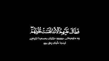 سورة الحديد [ ۱٦ - ۱۷ ]❄️#هيثم_دخين❄️