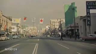 hollywood blvd   c  1959