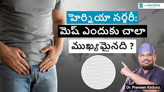 Is hernia mesh safe in Telugu | How does hernia mesh works | Laparoscopic surgeon