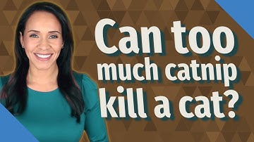 Can too much catnip kill a cat?