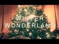 The Havertones - Winter Wonderland Music Video