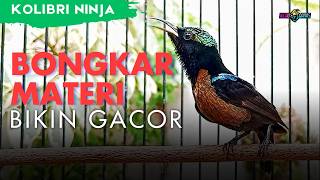 KONIN GACOR BONGKAR MATERI MASTERAN DAN PANCINGAN PALING AMPUH
