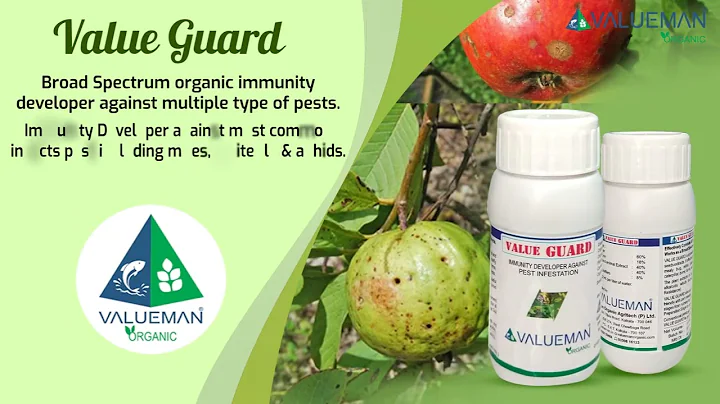 Value Guard By Valueman Organic