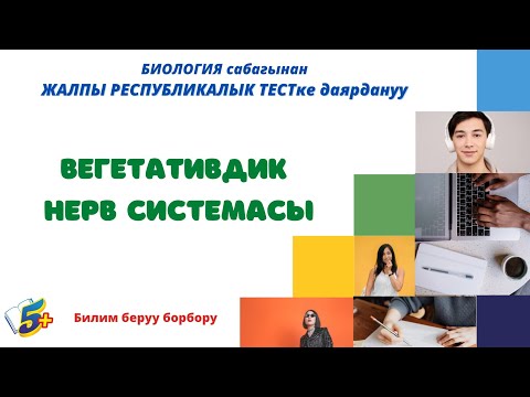 Video: Балдардагы нерв системасы