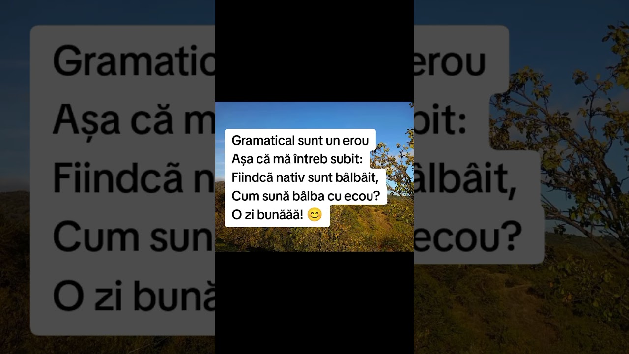 AstroPoema - Eroul Gramatical