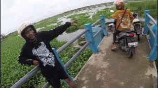 Perdana Ke Spot Ini‼️Spot Lingi Lingi Bonang Demak