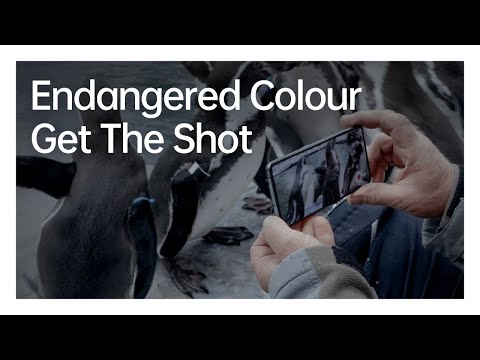 Get the Shot | OPPO x National Geographic