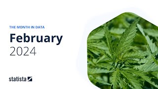 The Month in Data | February 2024 #cannabis #nvidia #sora #reddit #ipo