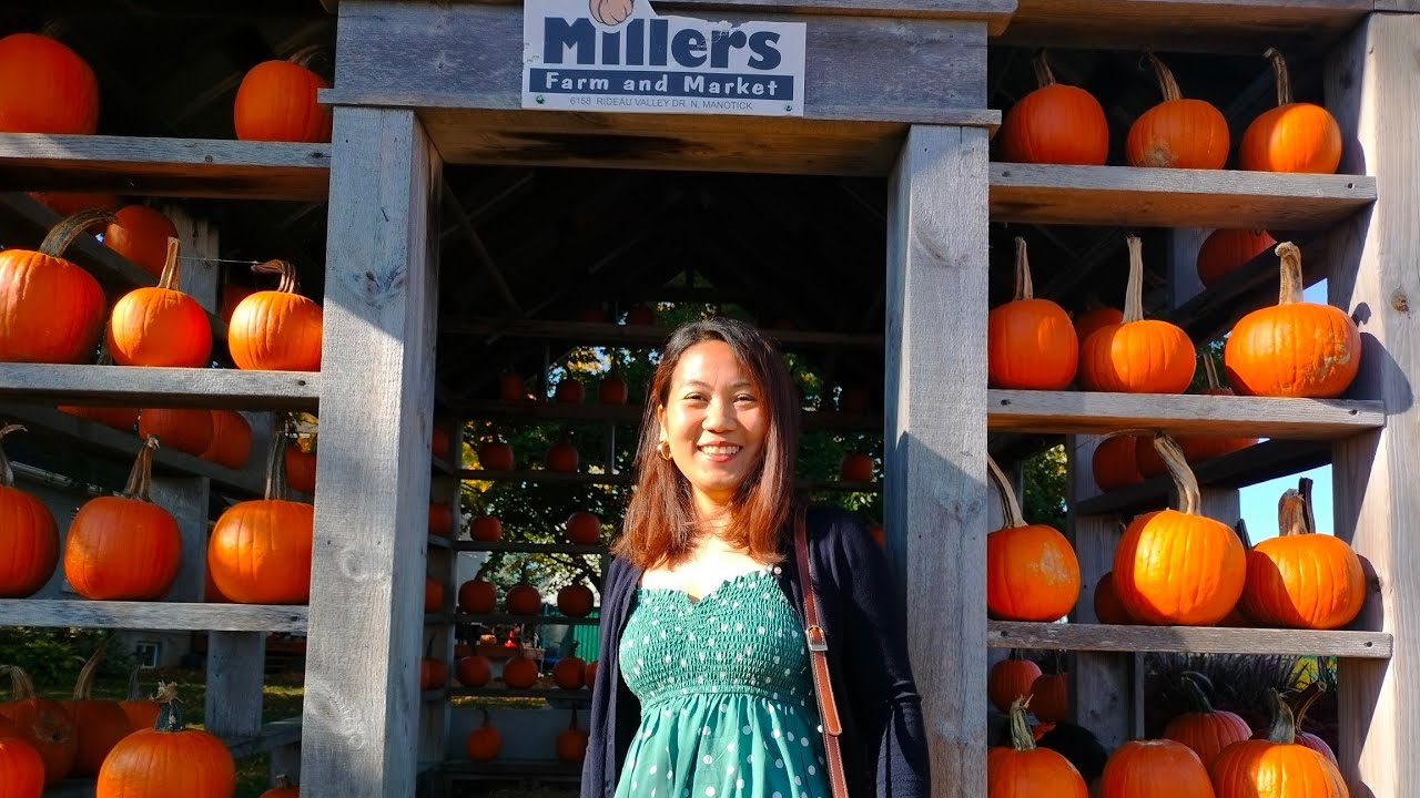 Pumpkin Patch, Miller's Farm, Manotick, Ottawa