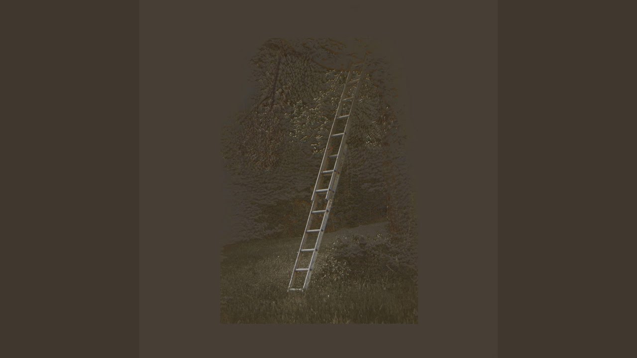 Watch Cathy on YouTube Watch Cathy on YouTube