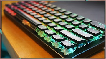 Keyboard Build: GMMK Compact (Lubed Kailh Red)  with Krytox 205g0 and Clipped Stabilizers