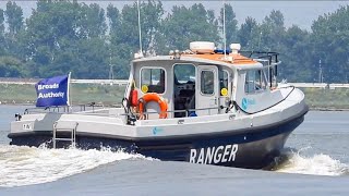 Cruisers, Ranger, birds and a monkey, all cross Breydon Water, Great Yarmouth #river #boat #monkey