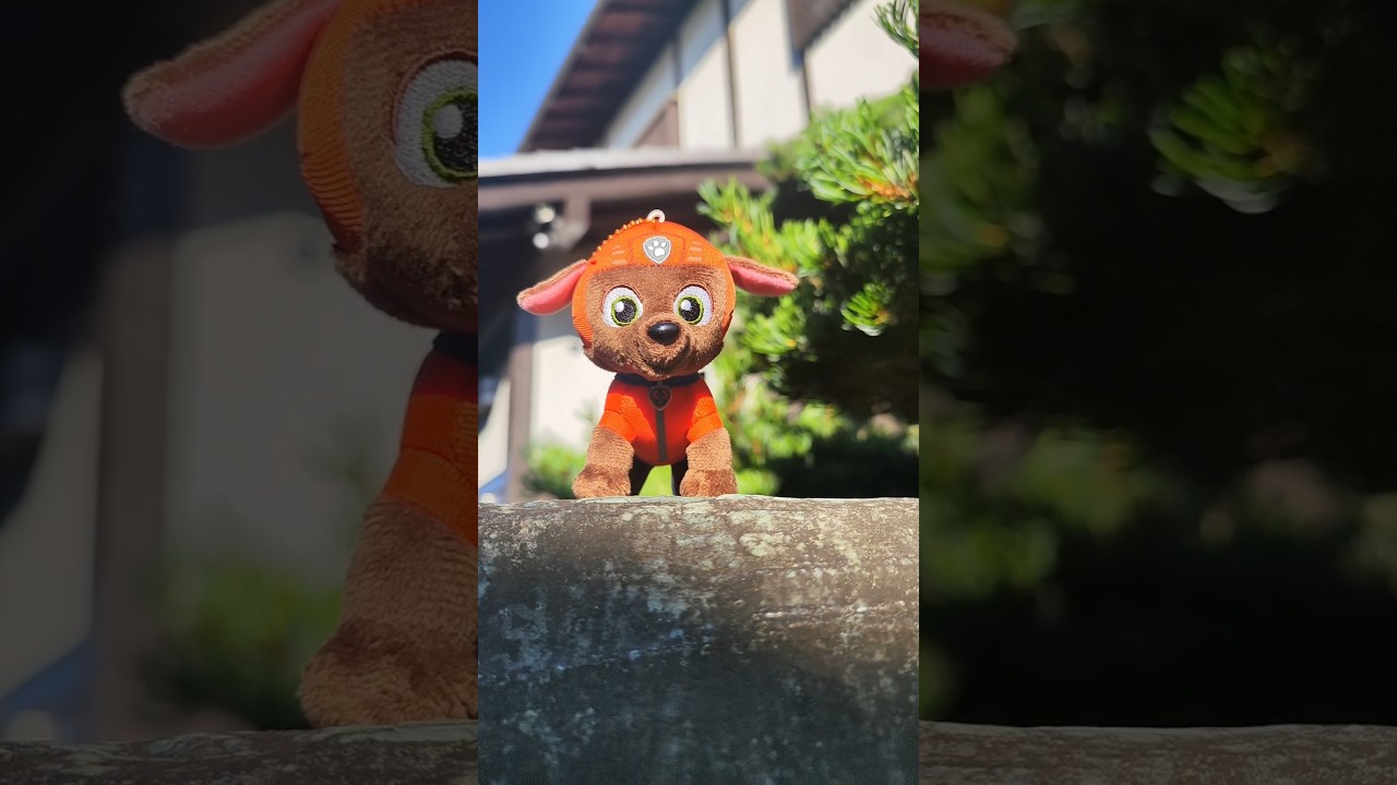 PAW Patrol toy collection #419: cute lil Zuma #plush from SK