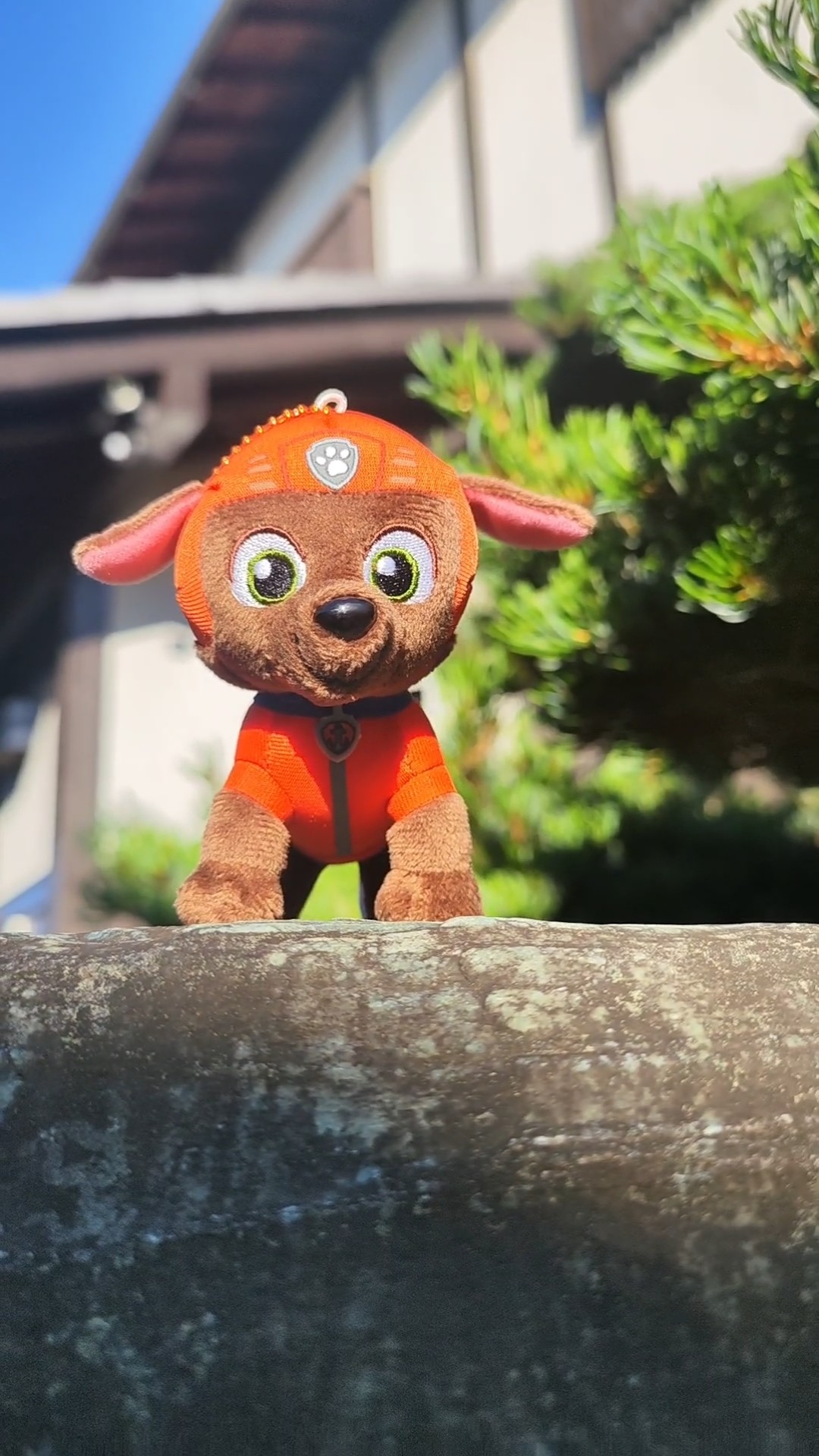 PAW Patrol toy collection #419: cute lil Zuma #plush from SK
