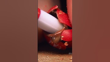 ASMR: Sounds of Melting Candy