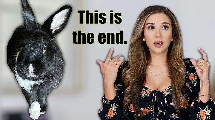 5 Things I Wish I Knew Before Getting a BUNNY