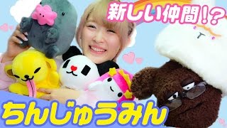 新しい仲間!?ちんじゅうみんがやってきた！