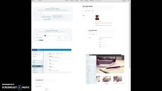 Screencast for wordpress