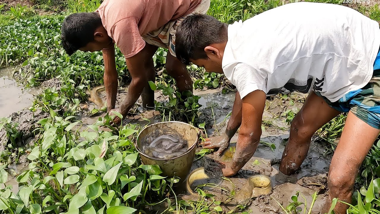 Incredible Bill Fishing Video | Traditional New Fishing Video ~ Zaor Fishing