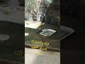 ٨ مايو ٢٠٢٦