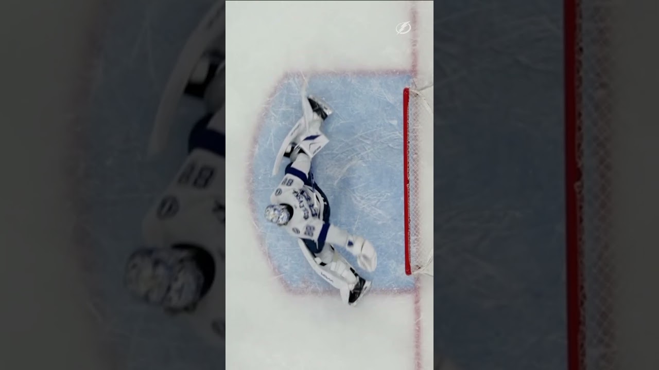 Vasy, Vasy, Vasy, Vasy 🦁