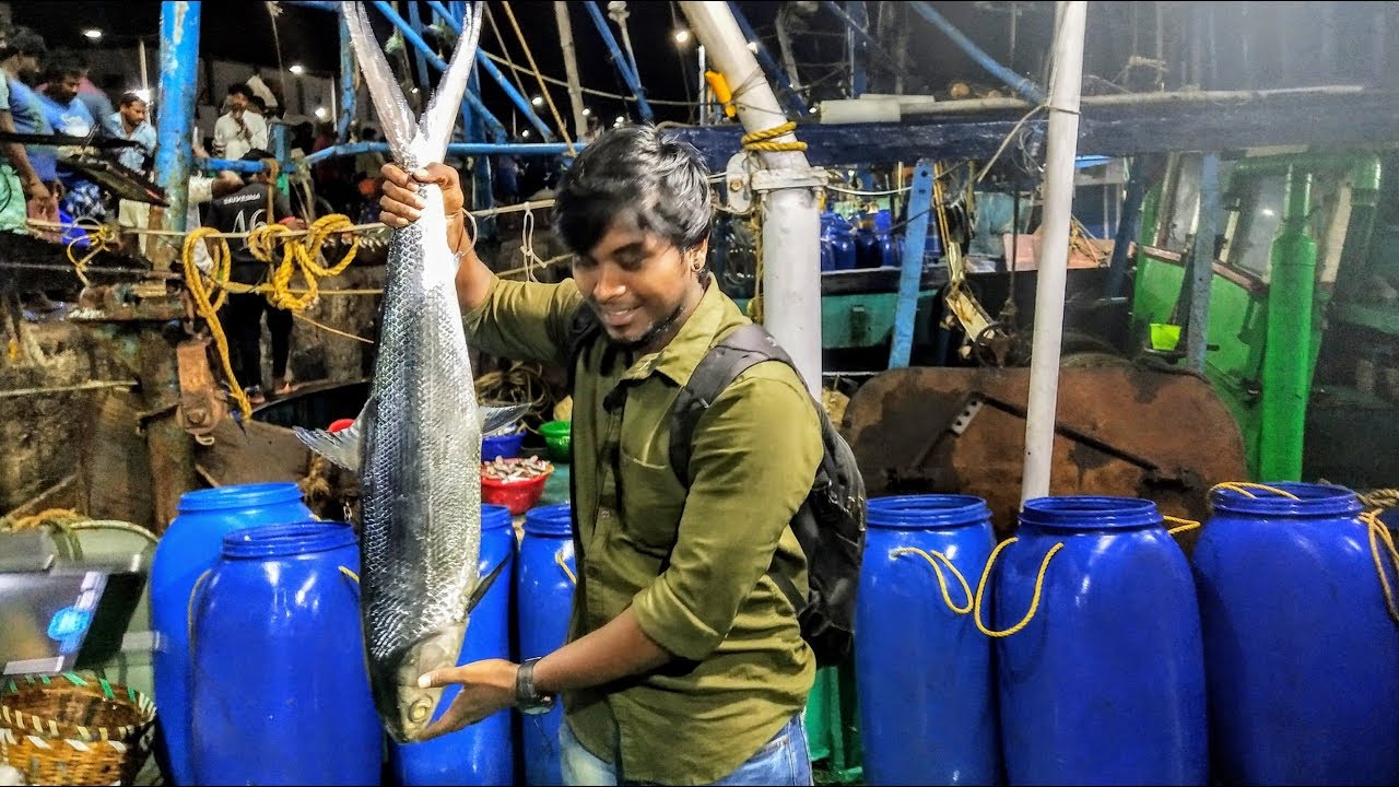 காசிமேடு மீன் மார்கெட் Kasimedu Fish Market chennai RVD Tamil vlog