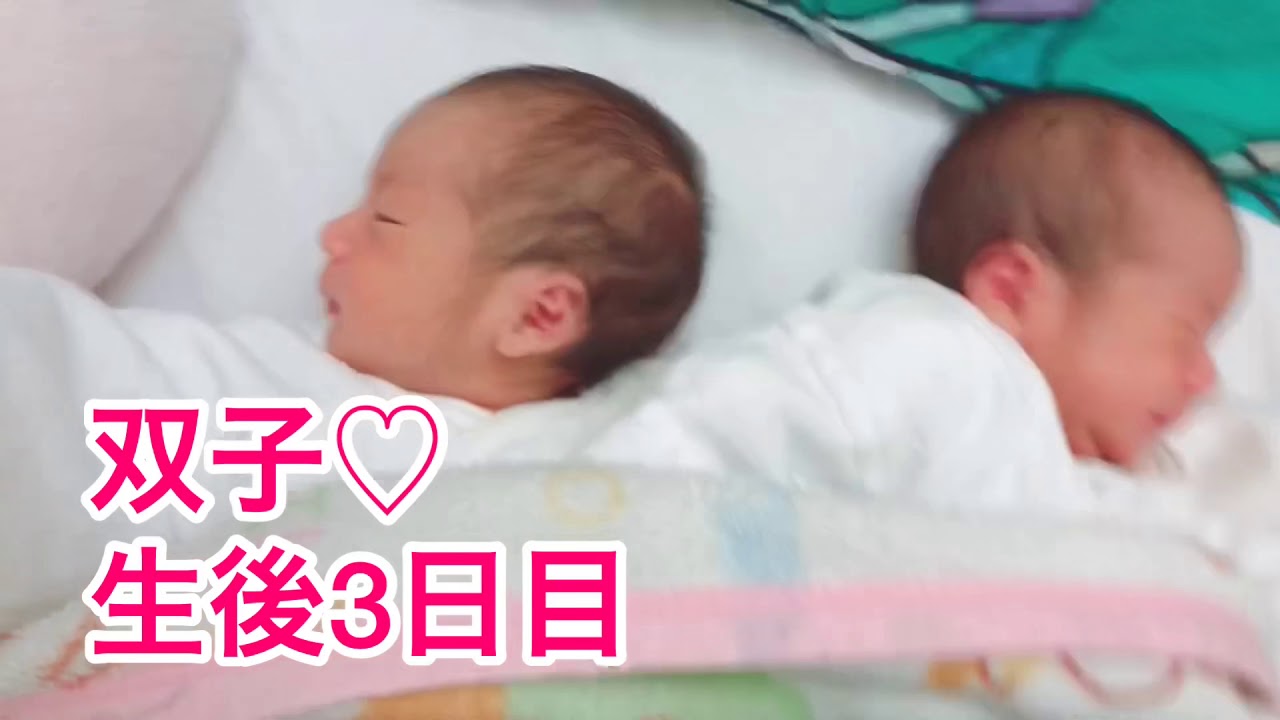 双子 赤ちゃん 新生児 かわいい 癒し Youtube