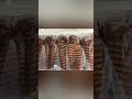 # Lace Wig #hair wig#Wig Factory#100%Human hair wig#Custom-made wig cap #Human Hair Lace Hairpiece