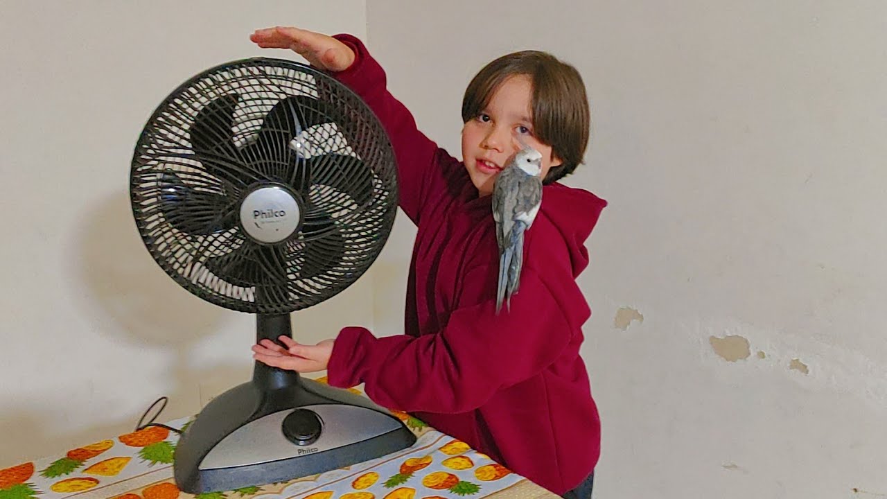 Limpeza e concerto 1° ventilador Philco que compramos na reciclagem #canaldopedro  #criancadejesus 
