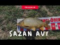 RESMEN ŞOV YAPTIK | SAZAN AVI | ŞAMANDIRA ve DİP OLTASI | fragman