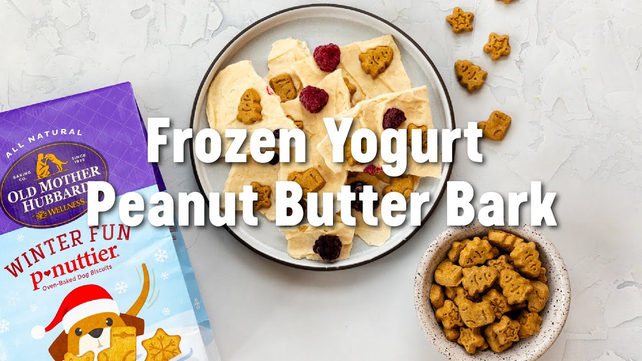 Frozen Greek Yogurt & Peanut Butter Dog Treats, Recipes