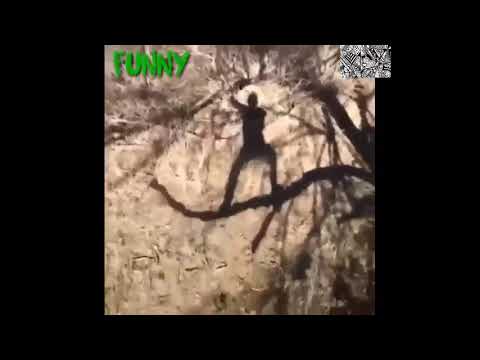 Funny Guy Falling Off A Tree Branch While Singing 