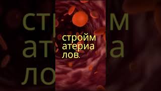 Коллаген, лёд, ошибки. #факты #хочуфакты #кино #психофакт #мистика #киноактеры #мотивация #наука
